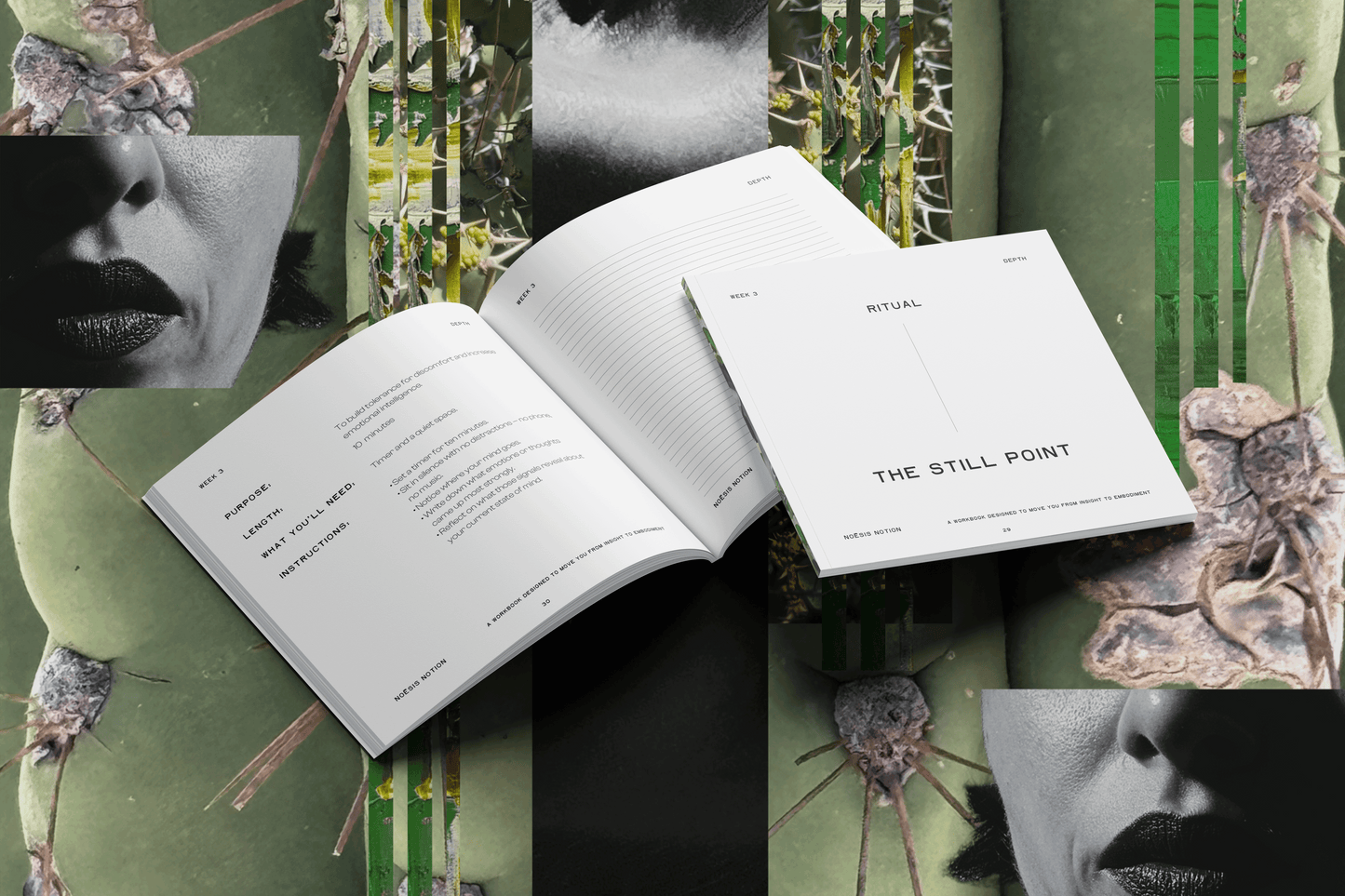 Noesis Notion November