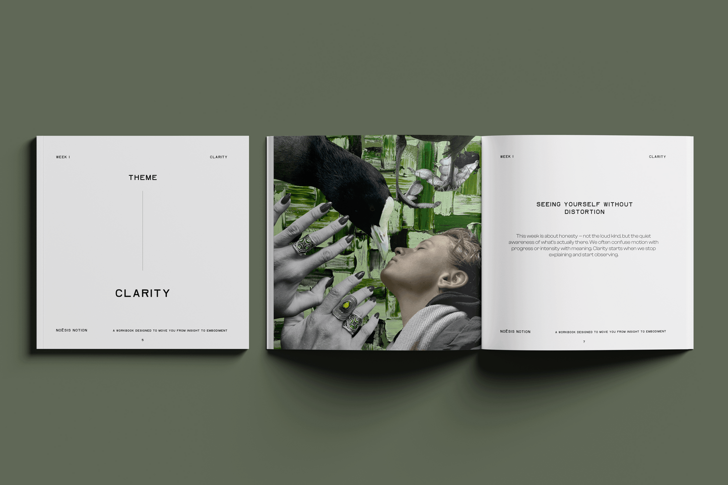 Noesis Notion November