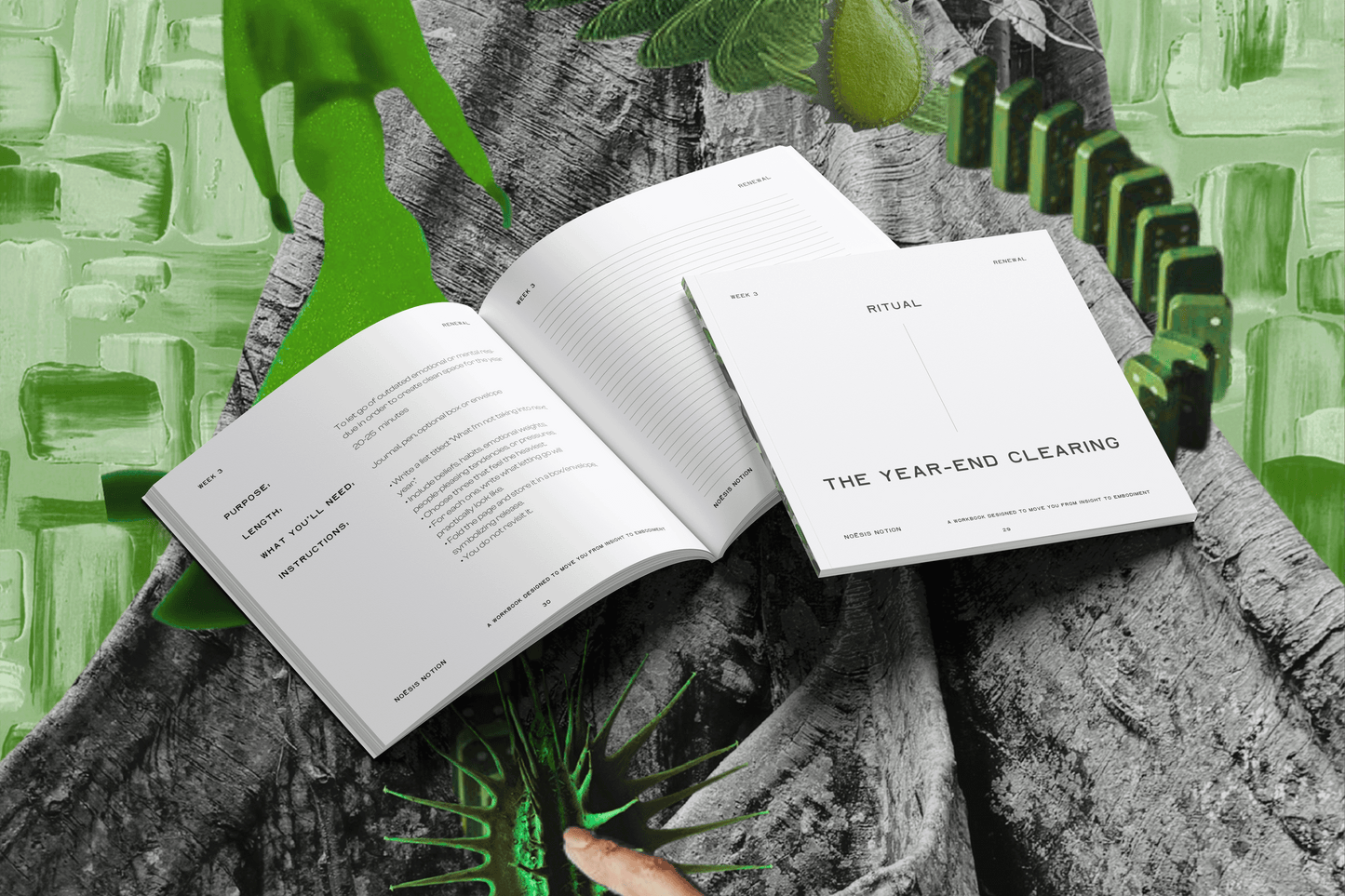 Noesis Notion December