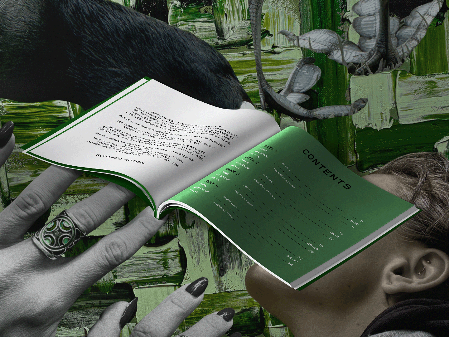 Noesis Notion November